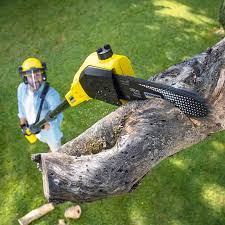 Best Firewood Processing and Delivery  in Swedesboro, NJ